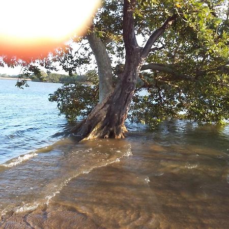 Niduwari Lake Homestay Dambulla Εξωτερικό φωτογραφία