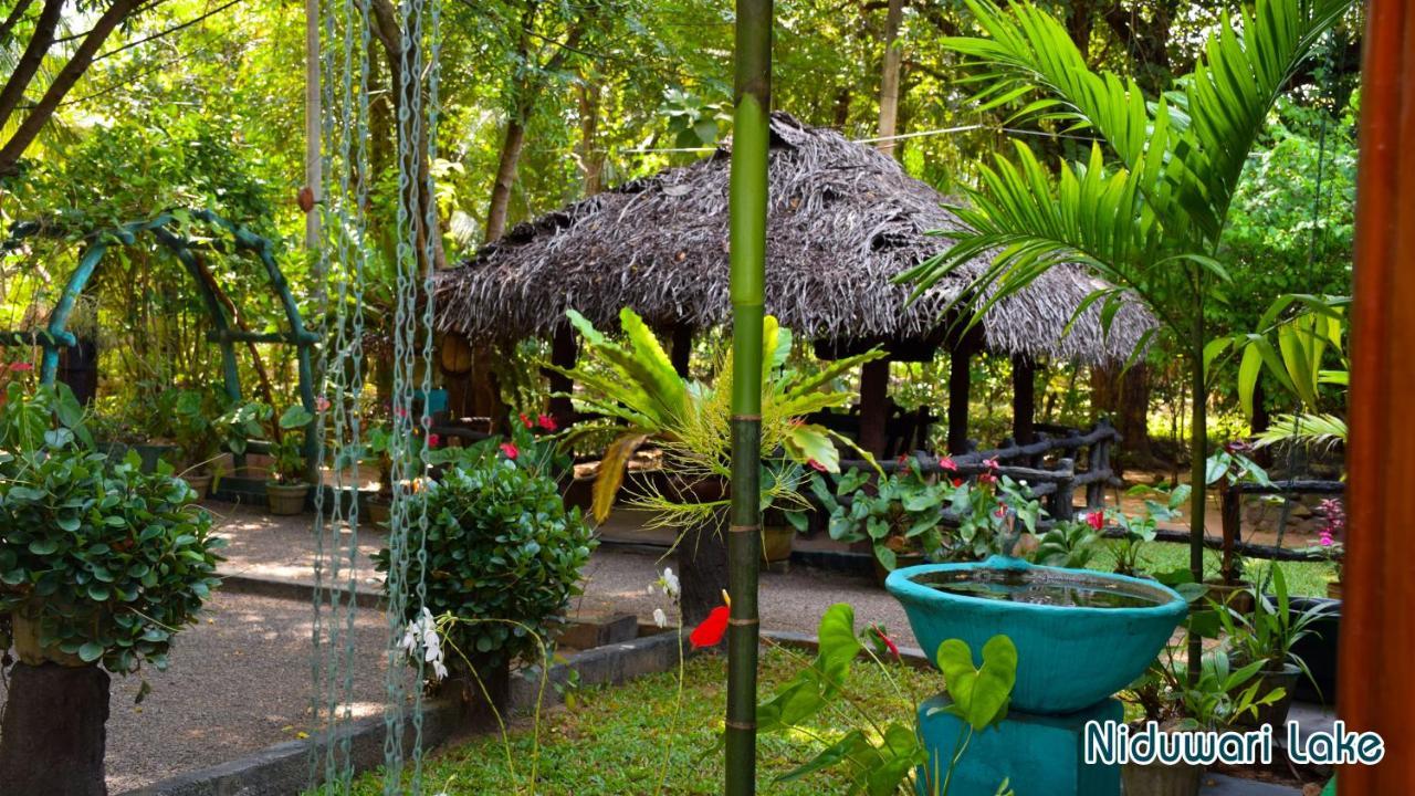 Niduwari Lake Homestay Dambulla Εξωτερικό φωτογραφία