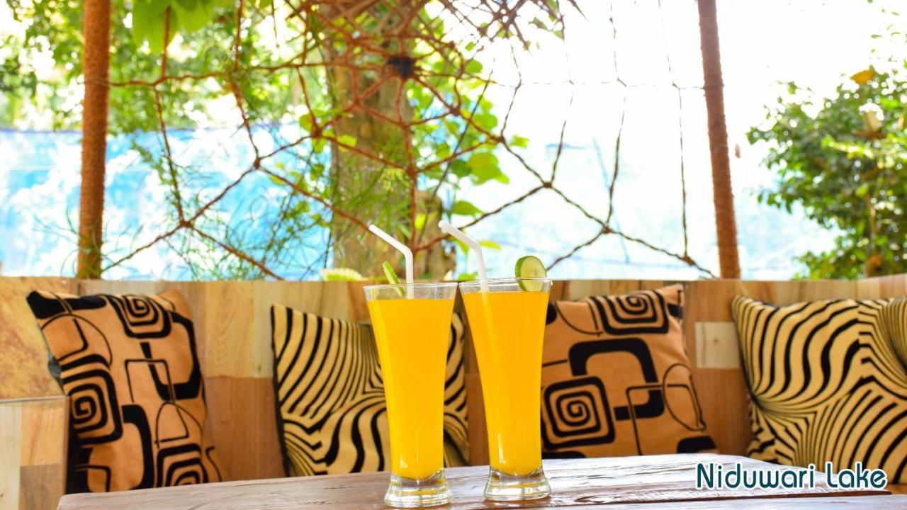 Niduwari Lake Homestay Dambulla Εξωτερικό φωτογραφία