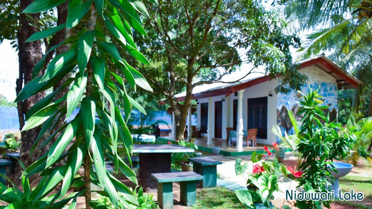 Niduwari Lake Homestay Dambulla Εξωτερικό φωτογραφία
