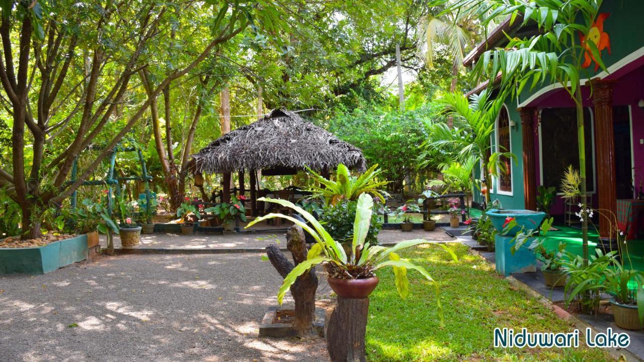 Niduwari Lake Homestay Dambulla Εξωτερικό φωτογραφία