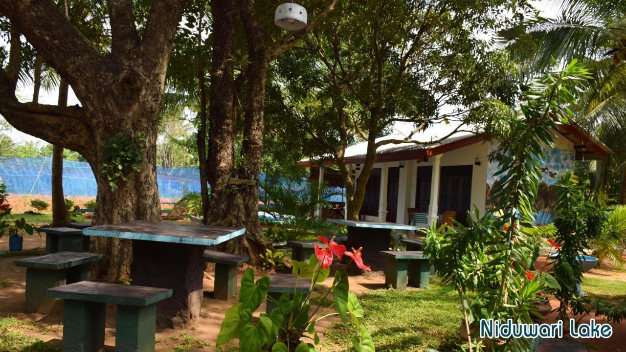 Niduwari Lake Homestay Dambulla Εξωτερικό φωτογραφία